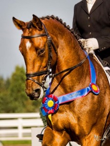 BanquetImageFromMaryC-2009