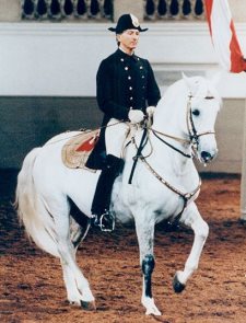arthur-kottas2